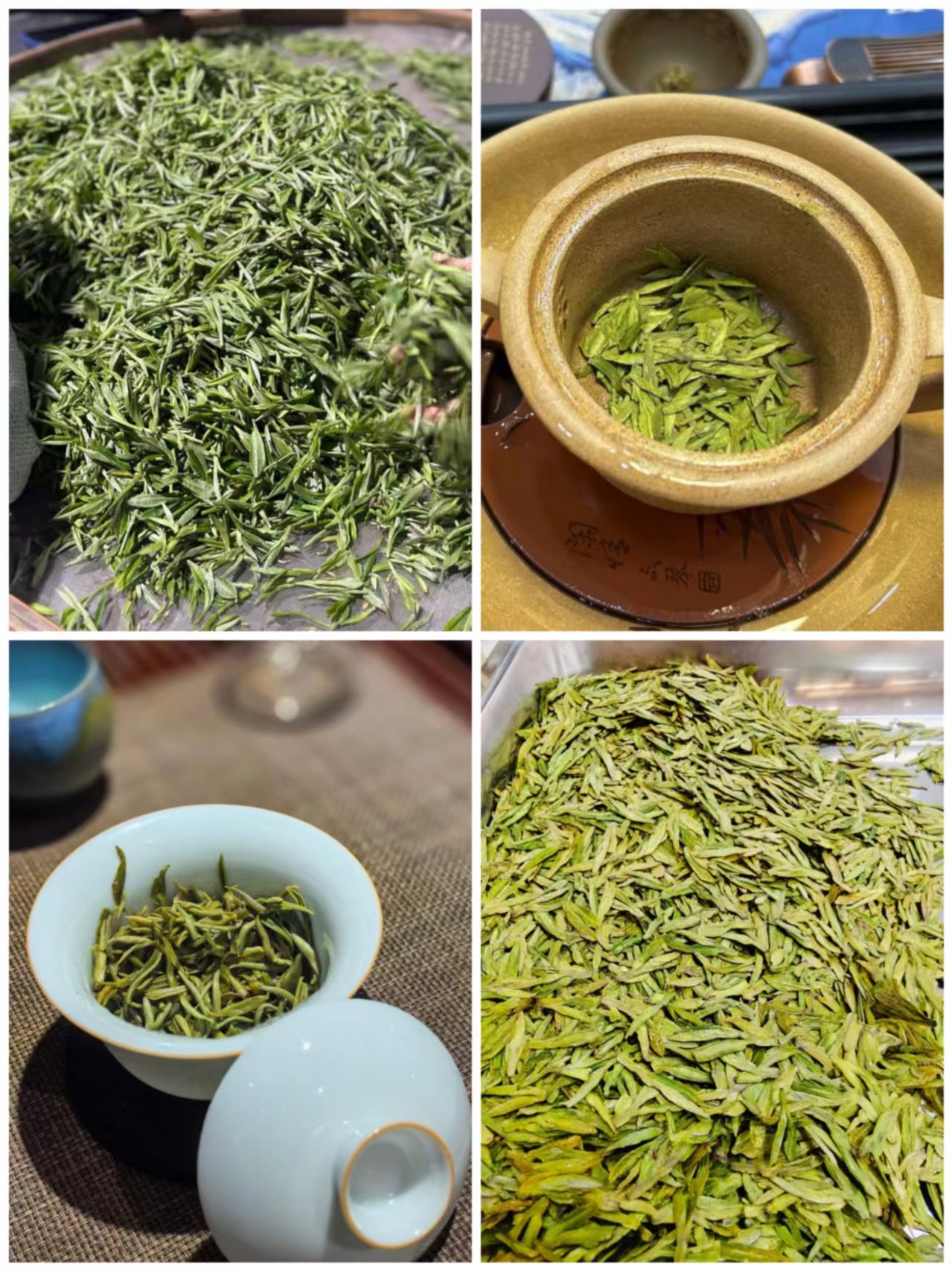 陳砦花卉茶城第二屆春茶品鑒會(huì)