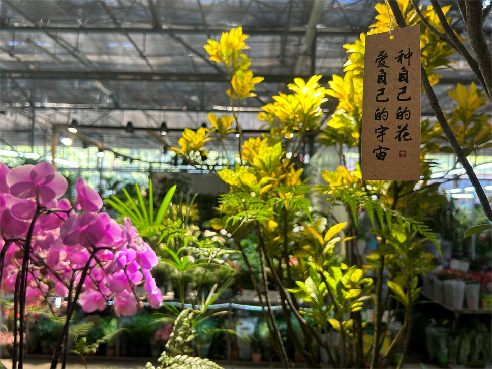 世間最好的養(yǎng)生，就是“沾花惹草”